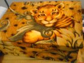 Caixa Tigre